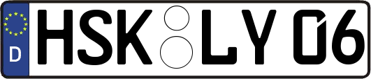 HSK-LY06
