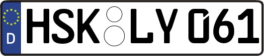 HSK-LY061