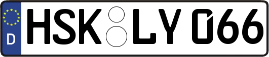 HSK-LY066