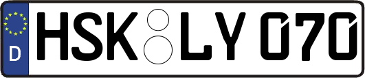 HSK-LY070