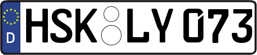 HSK-LY073