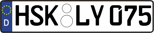 HSK-LY075