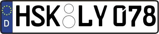 HSK-LY078