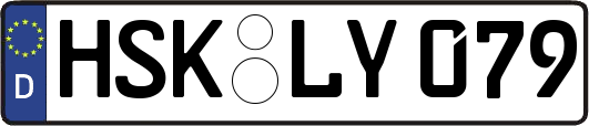 HSK-LY079