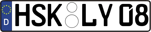 HSK-LY08