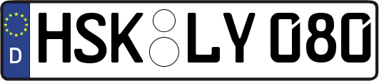 HSK-LY080