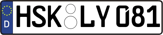 HSK-LY081