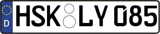 HSK-LY085