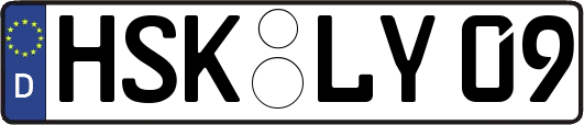 HSK-LY09