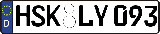 HSK-LY093