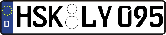 HSK-LY095