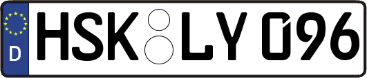 HSK-LY096
