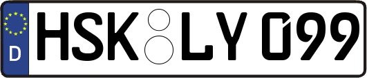 HSK-LY099