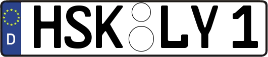 HSK-LY1