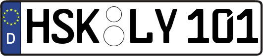 HSK-LY101