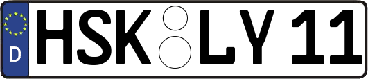 HSK-LY11