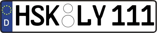 HSK-LY111