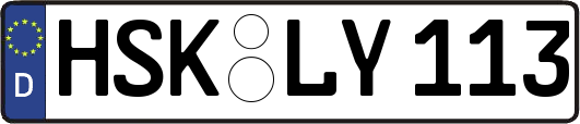 HSK-LY113