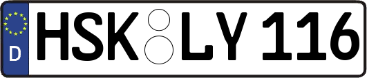 HSK-LY116