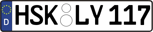 HSK-LY117