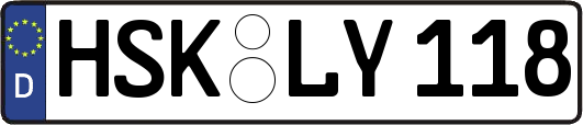 HSK-LY118