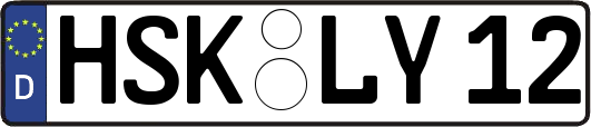 HSK-LY12
