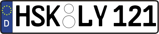 HSK-LY121