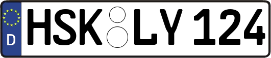 HSK-LY124