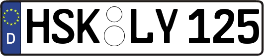HSK-LY125
