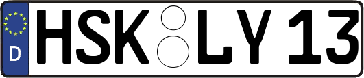 HSK-LY13