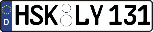 HSK-LY131