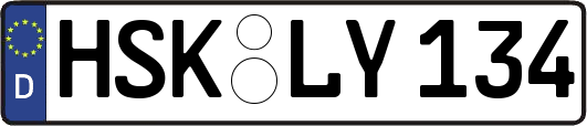 HSK-LY134