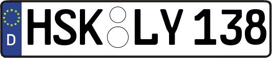HSK-LY138
