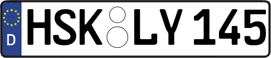 HSK-LY145
