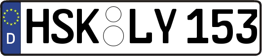 HSK-LY153