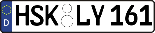 HSK-LY161