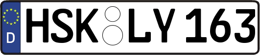 HSK-LY163