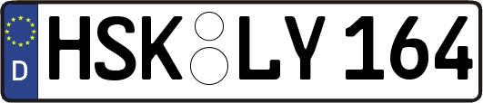 HSK-LY164