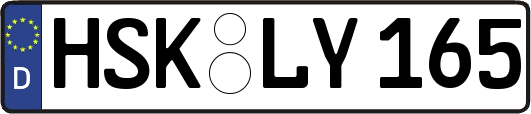 HSK-LY165
