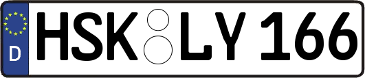 HSK-LY166