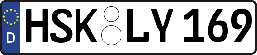 HSK-LY169