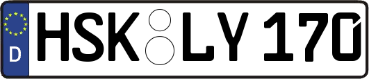 HSK-LY170