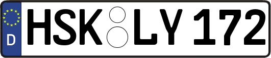 HSK-LY172
