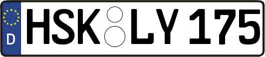 HSK-LY175