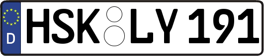 HSK-LY191