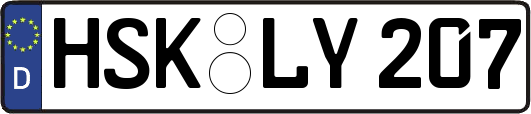 HSK-LY207