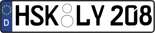 HSK-LY208