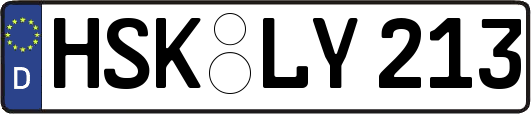 HSK-LY213
