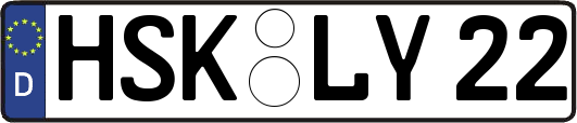 HSK-LY22
