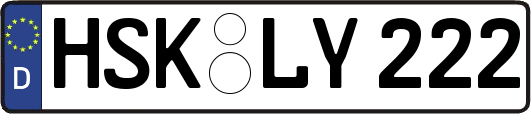 HSK-LY222